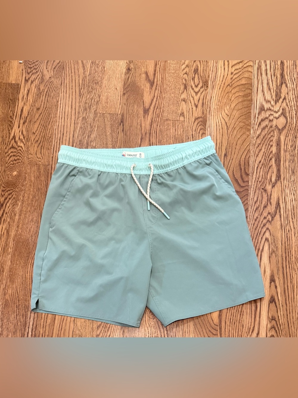 Laguna B Men’s Mint Teal Swim Trunks